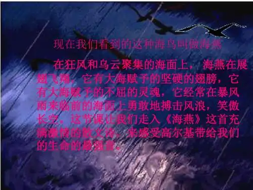 高尔基《海燕》ppt课件