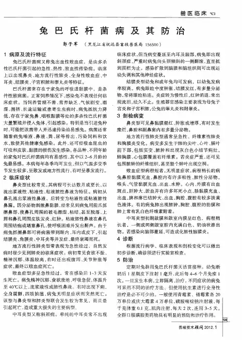 兔巴氏杆菌病及其防治