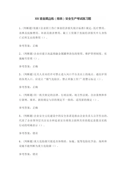 XX省金属冶炼(炼铁)安全生产考试练习题