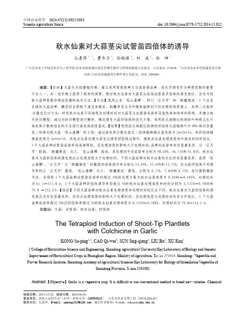 秋水仙素对大蒜茎尖试管苗四倍体的诱导