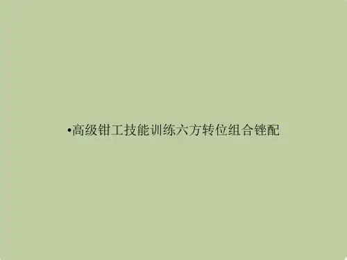 高级钳工技能训练六方转位组合锉配