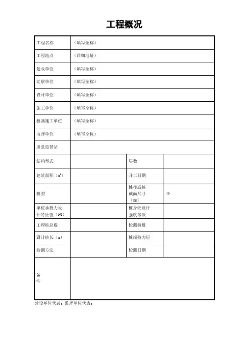工程概况表(桩基)