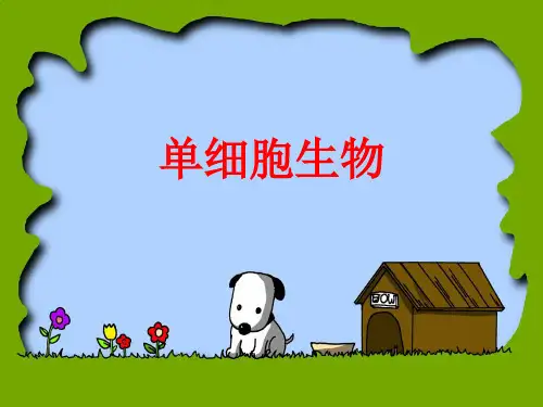 单细胞生物课件