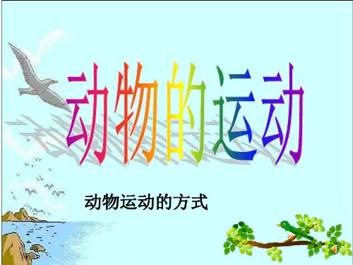 北师大版初中生物八上第五单元15.1《动物运动的方式》课件(共24张PPT)