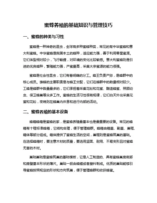 蜜蜂养殖的基础知识与管理技巧