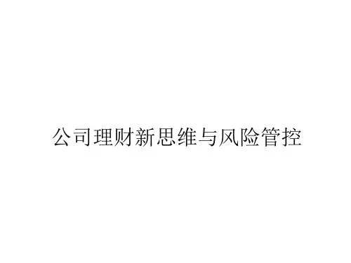 《公司理财战略新思维与风险管控》