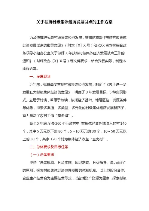 关于扶持村级集体经济发展试点的工作方案