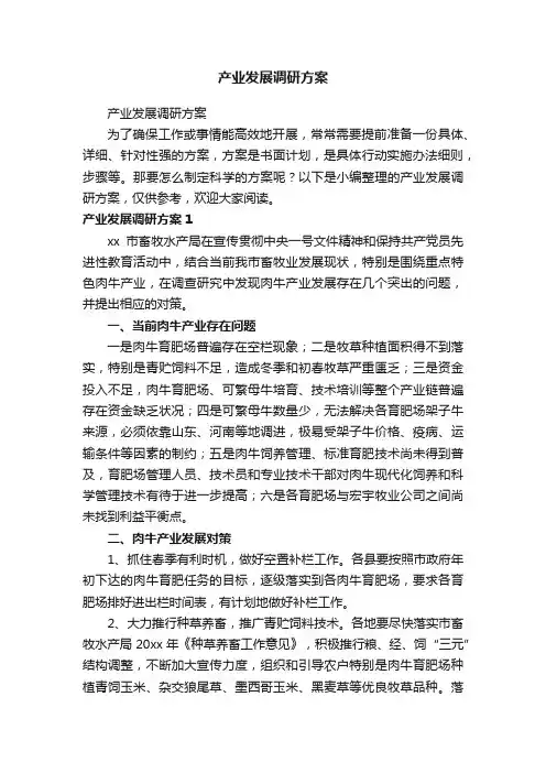 产业发展调研方案