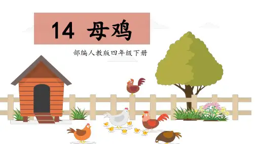 部编版语文四年级下册14母鸡课件(共22张PPT)