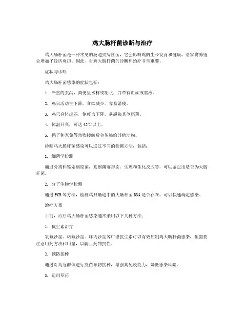 鸡大肠杆菌诊断与治疗
