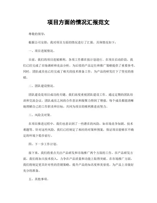 项目方面的情况汇报范文