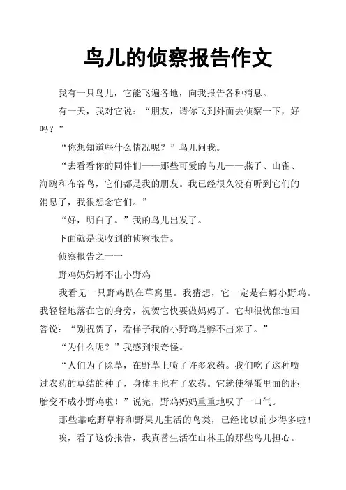 鸟儿的侦察报告作文