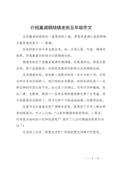 介绍巢湖烔炀镇老街五年级作文