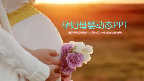 孕妇母婴工作总结PPT模板(适用于个人简介工作汇报年终总结述职报告)4541