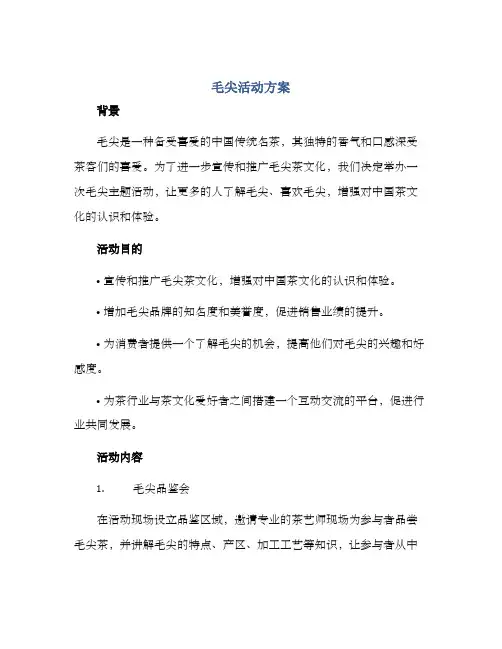 毛尖活动方案