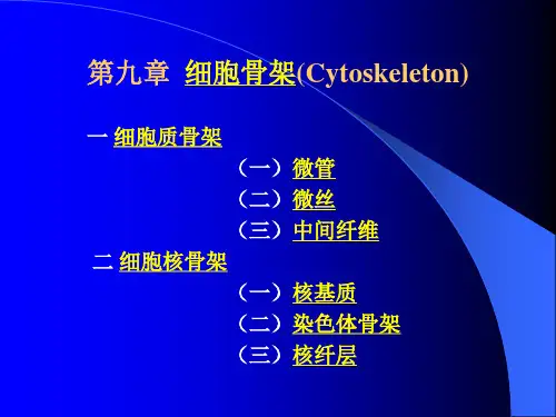 第九章 细胞骨架