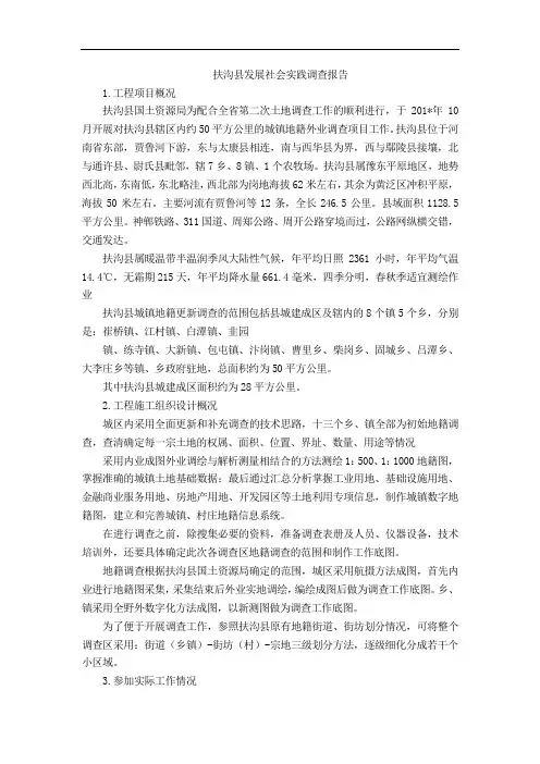 扶沟县发展社会实践调查报告