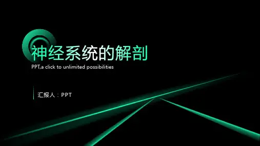 《神经系统的解剖》课件