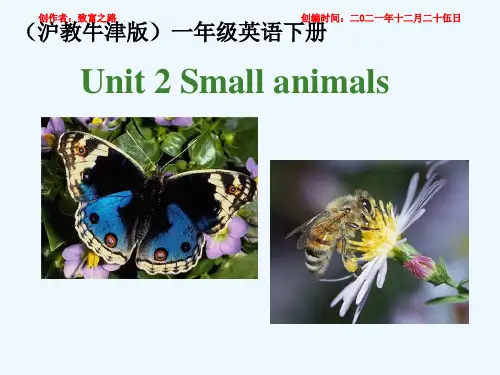 一年级英语下册 unit 2(6)课件 沪教牛津