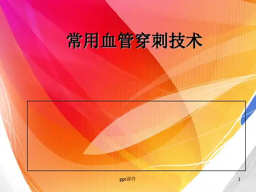 常用血管穿刺技术  ppt课件
