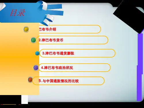 津巴布韦通货膨胀ppt课件