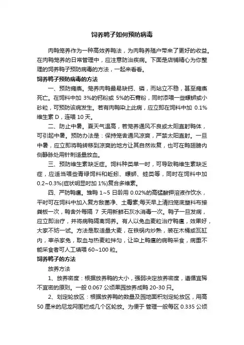 饲养鸭子如何预防病毒