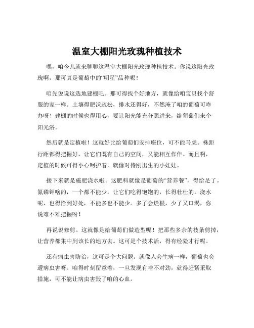 温室大棚阳光玫瑰种植技术