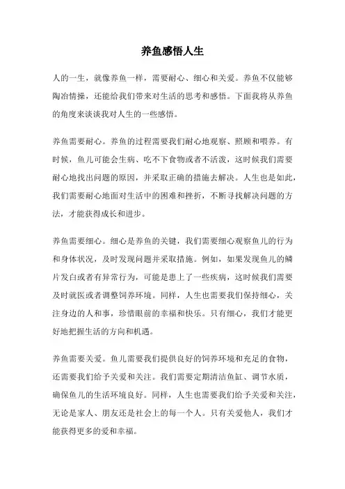 养鱼感悟人生