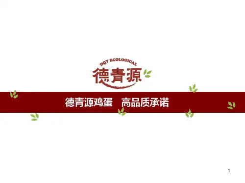 德青源公关传播方案PPT课件