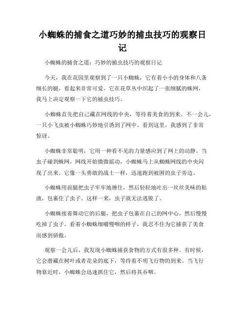 小学三年级作文小蜘蛛的捕食之道巧妙的捕虫技巧的观察日记