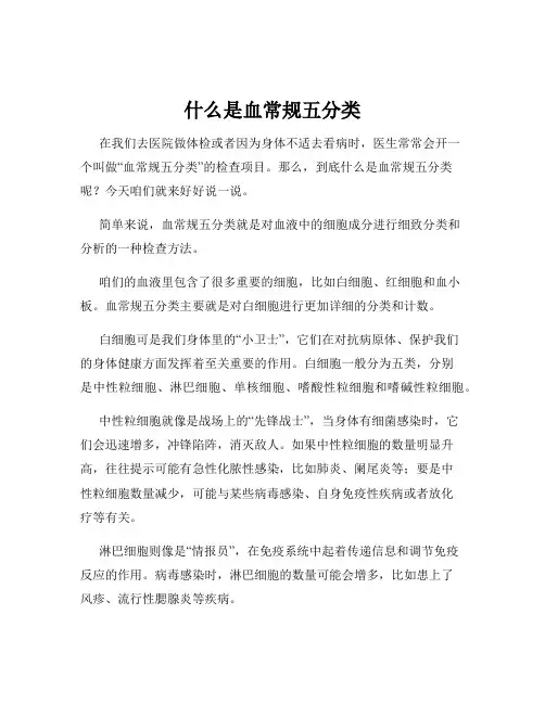 什么是血常规五分类