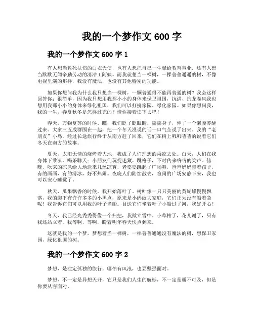 我的一个梦作文600字