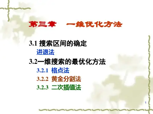 第三章一维优化方法
