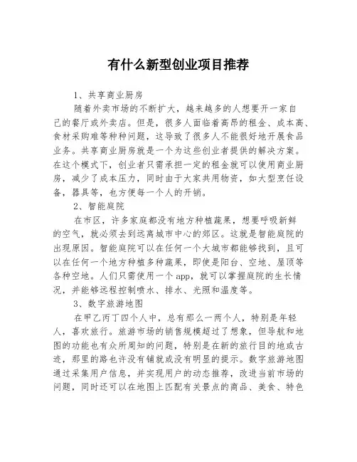 有什么新型创业项目推荐3篇