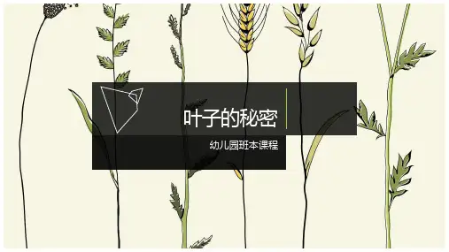 《叶子的秘密》幼儿园中班课程PPT课件