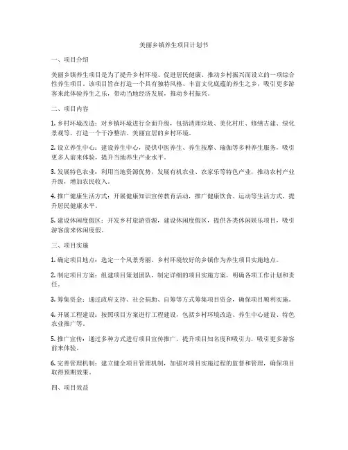 美丽乡镇养生项目计划书