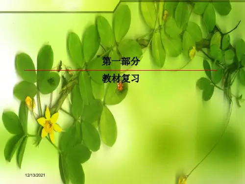 高考英语一轮复习 第一部分 教材复习 unit 4 global warming课件 