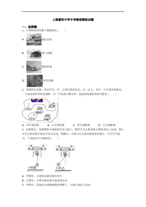 上海紫阳中学中考物理模拟试题