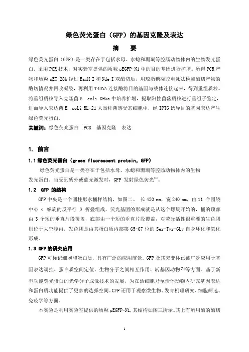 绿色荧光蛋白(GFP)的基因克隆及表达