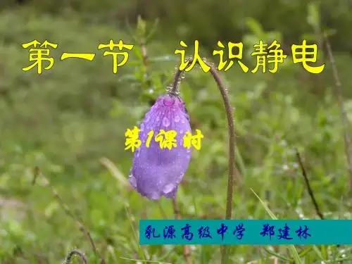 第一节 认识静电 教案 广东教材