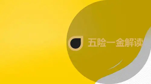 五险一金 解读完整版文档