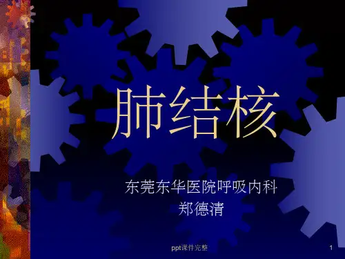 肺结核幻灯完整ppt课件