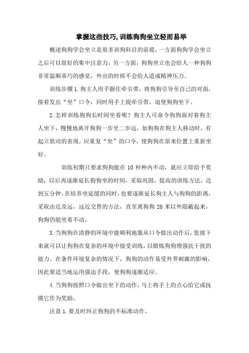 掌握这些技巧,训练狗狗坐立轻而易举