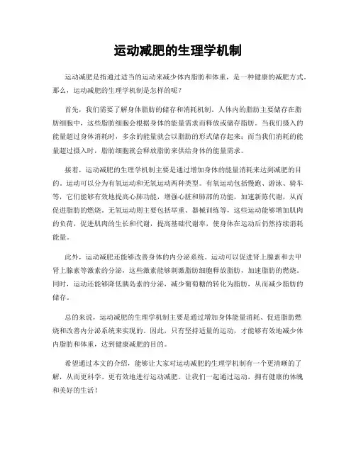运动减肥的生理学机制
