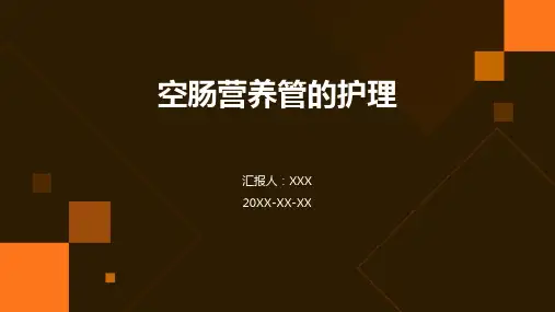 空肠营养管的护理ppt课件