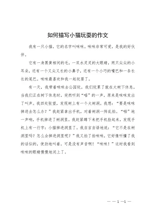如何描写小猫玩耍的作文