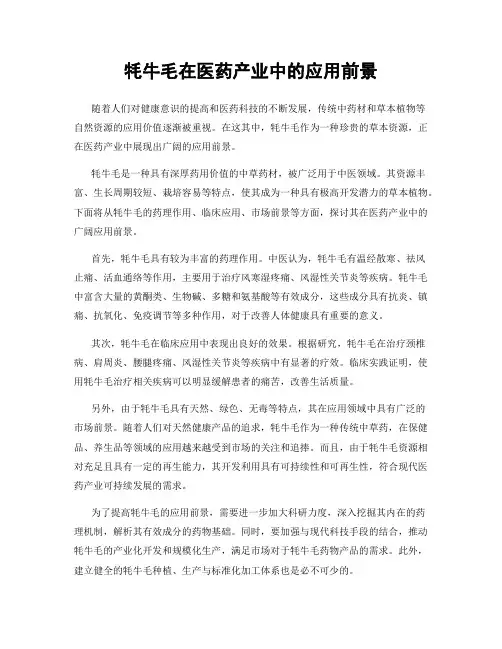 牦牛毛在医药产业中的应用前景