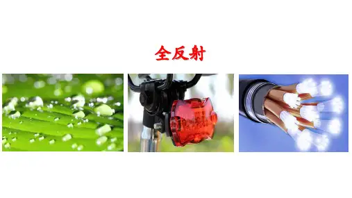 全反射高二上学期物理人教版2019选择性必修一
