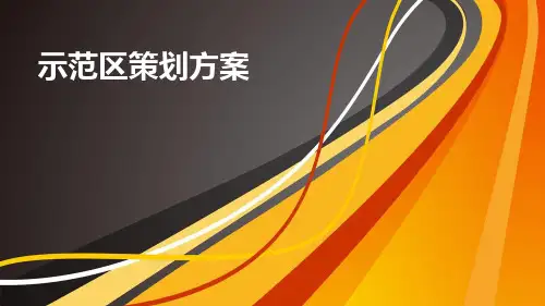 示范区策划方案(ppt共40张)