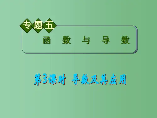 高中数学第2轮总复习 专题5 第3课时 导数及其应用课件 文